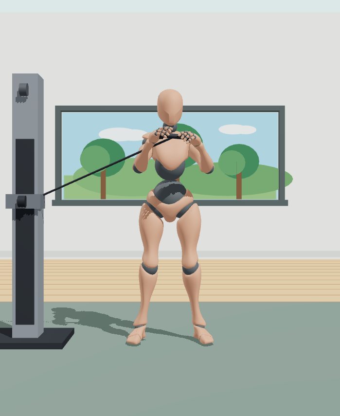 Rest position preview for Cable Pallof press