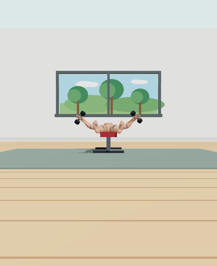 Rest position preview for Dumbbell fly