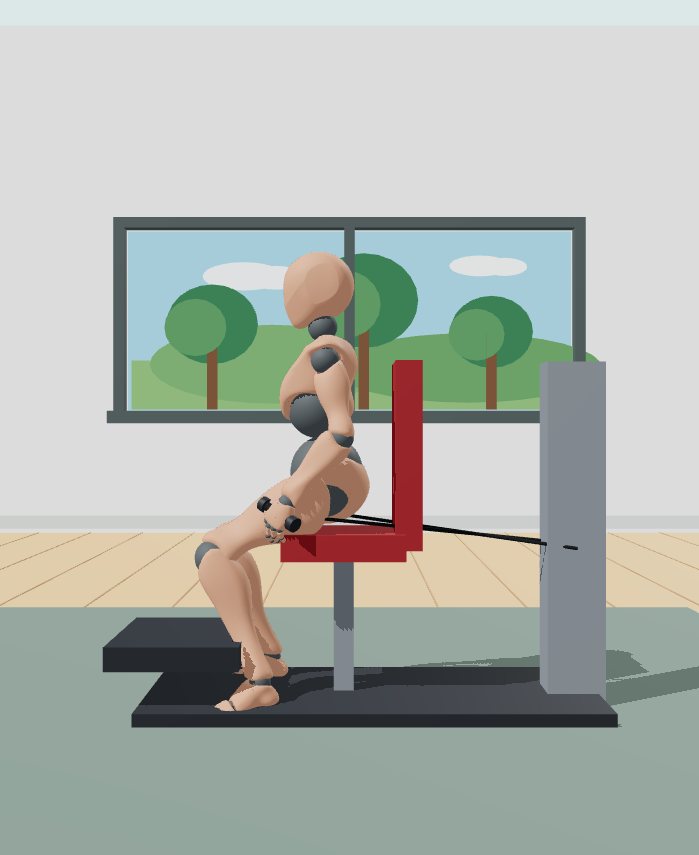 Rest position preview for Seated cable row